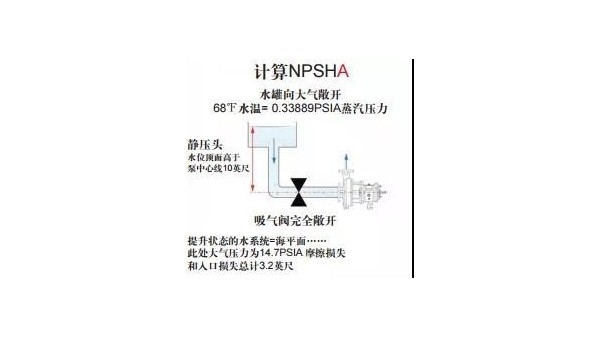 着魔的NPSHA